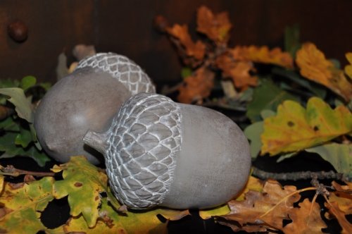 Majas cottage -ekollon-acorn